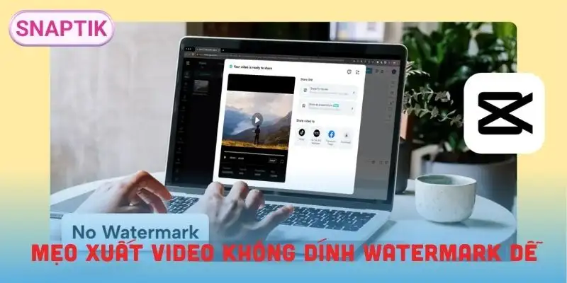 app-edit-video-khong-logo-meo-tranh-dinh-watermark