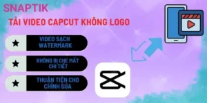 Tải Video Twitter, Pinterest, Reddit – Công Cụ Tổng Hợp