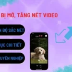 video-tai-ve-bi-mo-tang-net-video